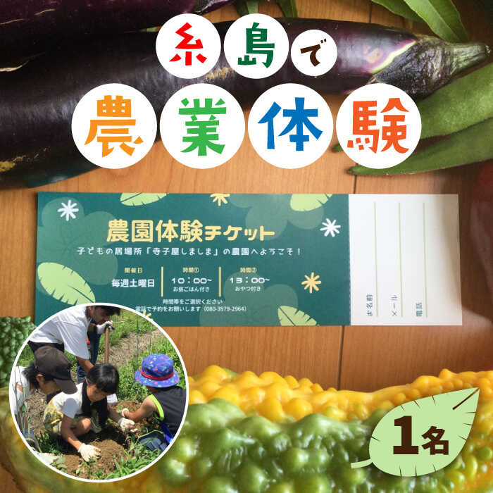 糸島の強炭酸水＆茶の葉特集
