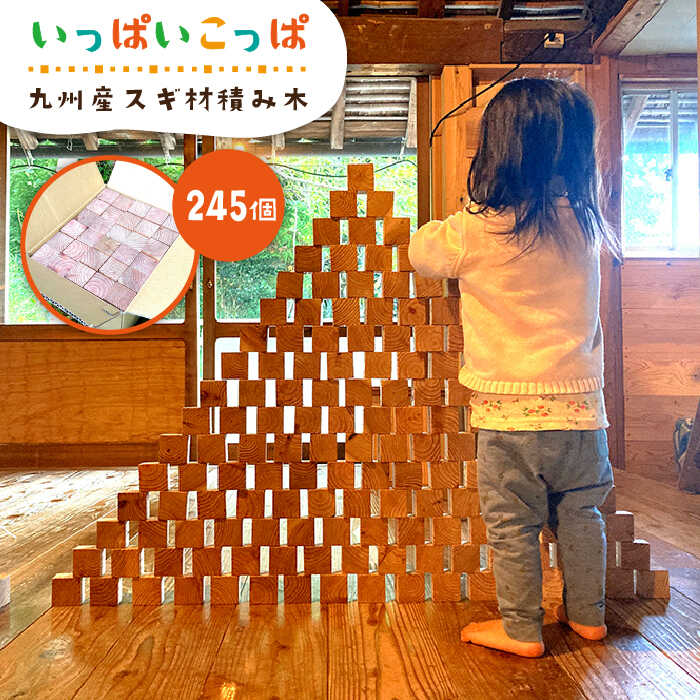 【ふるさと納税】いっぱいこっぱ（大）積み木《糸島》【産の森学舎】 [ABC003] 36000円 3万6千円