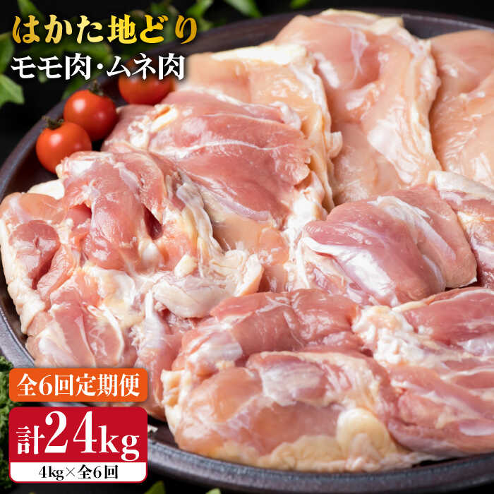 【ふるさと納税】【全6回定期便】はかた地どり もも肉 2kg & むね肉 2kg 合計4kg セット 糸島【糸島ミートデリ工房】[ACA158]10万円195000円｜福岡県糸島市