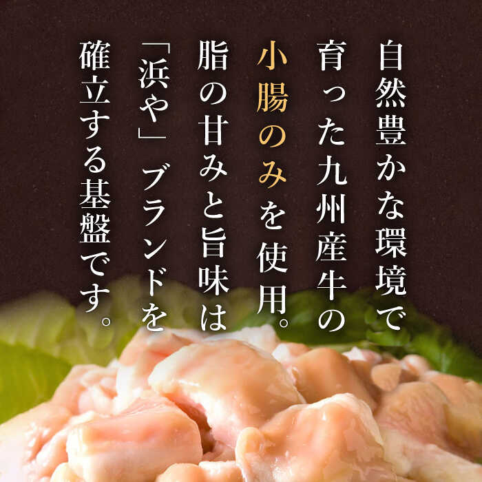 国産 ・ 無添加 もつ鍋 292000円 セット 糸島市 （約4人前） だし塩味 もつ料理専門店浜や [AFF032] 惣菜