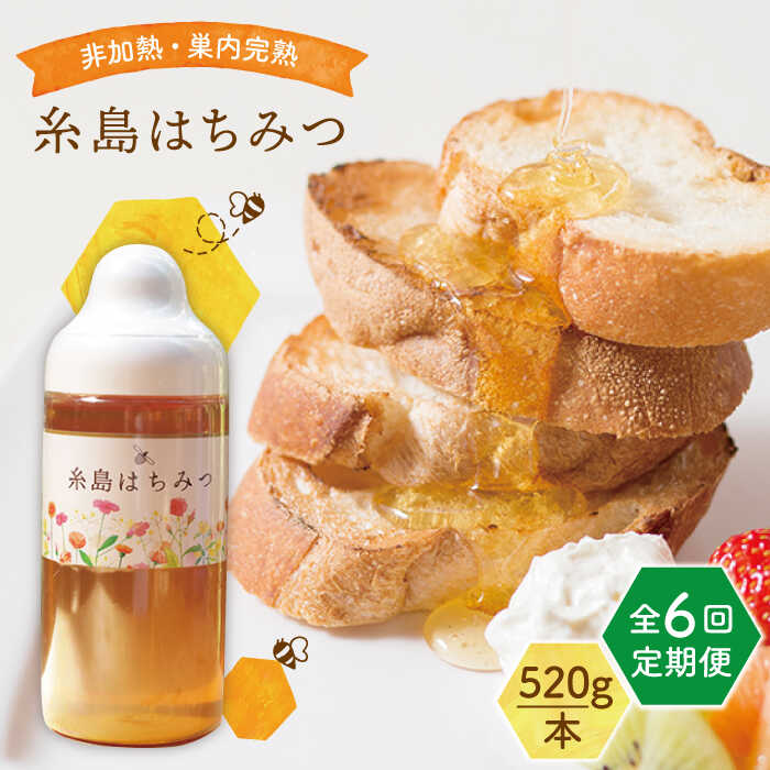 【ふるさと納税】【全6回定期便】糸島 はちみつ 520g 糸島市 / ヴァンベールフーズ /百花 / 蜂蜜 [AFJ006] 100000円 10万円