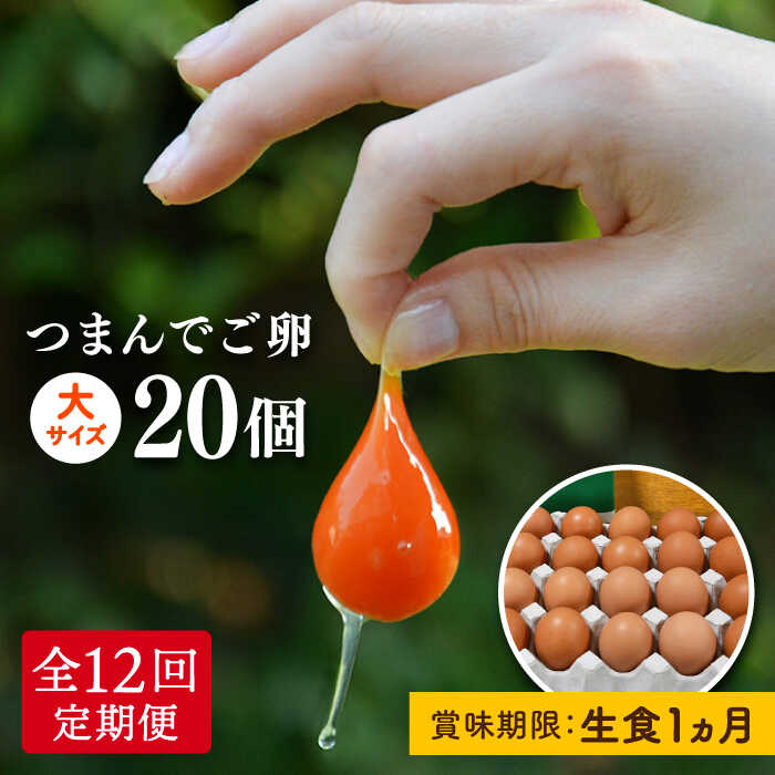 【ふるさと納税】プリップリの卵が毎月届く！ 全12回 つまんでご卵 20個セット 定期便(月1回) 糸島市 / 緑の農園 [AGA010]  たまご 卵 平飼い 116000円 100000円 10万