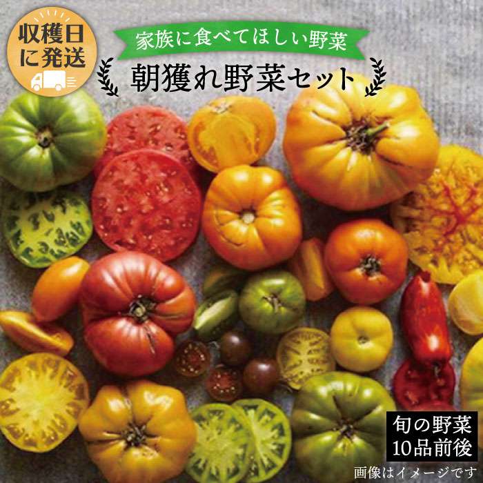 【ふるさと納税】朝獲れ！糸島野菜セット(10品前後) オーガニックナガミツファーム [AGE003] 12000円
