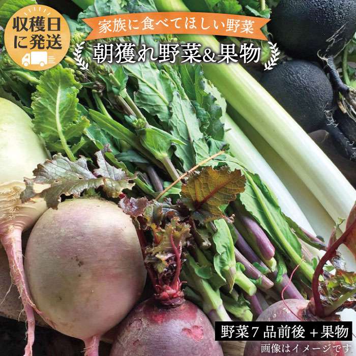 【ふるさと納税】朝獲れ！野菜7品(前後)セット＋果物 オーガニックナガミツファーム [AGE004] 11000円 1万円