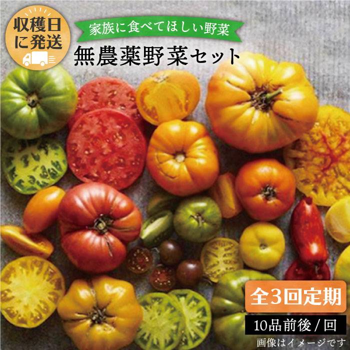 【ふるさと納税】【全3回定期便(月1回)】☆畑直送☆【福岡県糸島産】朝獲れ＊野菜セット(10品前後) オーガニックナガミツファーム [AGE006] 33000円