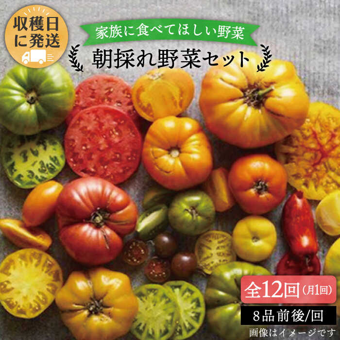 【ふるさと納税】【全12回定期便】【福岡県糸島産】朝採れ 野菜 セット (8品前後) 《糸島》【オーガニックナガミツファーム】[AGE012]10万円139000円｜福岡県糸島市