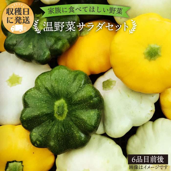 【ふるさと納税】☆畑直送☆朝獲れ＊温野菜サラダセット（電子レンジでチンするだけ！）栽培期間中農薬・化学肥料不使用_オーガニックナガミツファーム [AGE015] 12000円