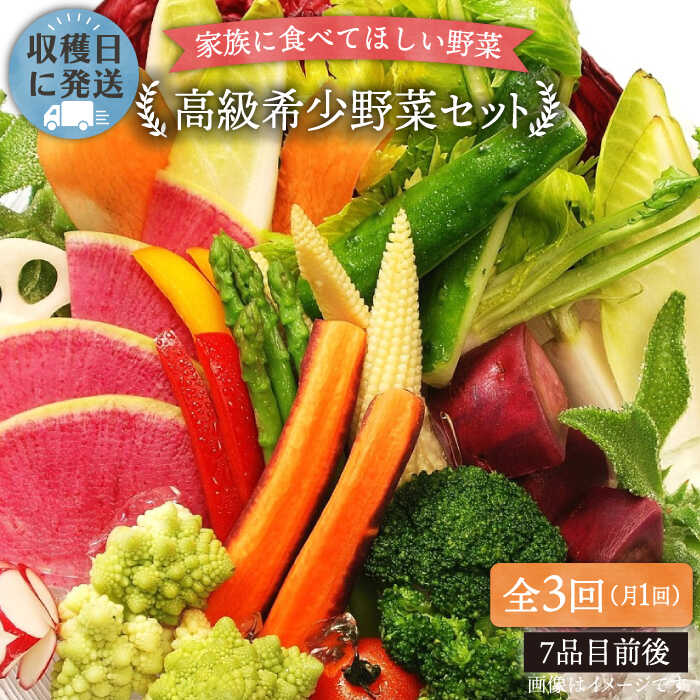 【ふるさと納税】【 全3回 定期便 】【 農薬・化学肥料 不使用 】こだわり 高級希少野菜 セット （ 7品前後 ） 《糸島》【オーガニックナガミツファーム】 [AGE016]8万2千円82000円｜福岡県糸島市