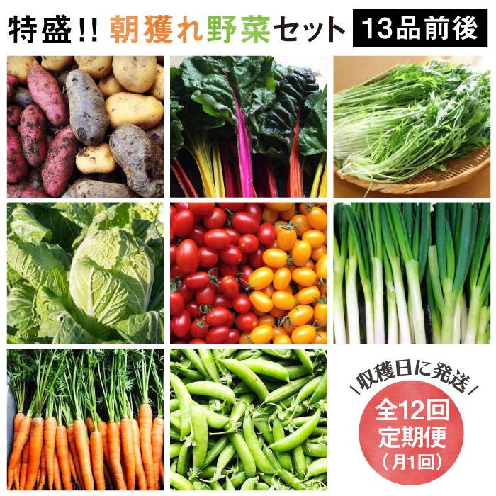 【ふるさと納税】【全12回定期便】☆畑直送☆ 福岡県糸島産 朝採れ野菜セット（13品前後）オーガニックナガミツファーム [AGE026] 詰め合わせ おまかせ 185000円 100000円 10万