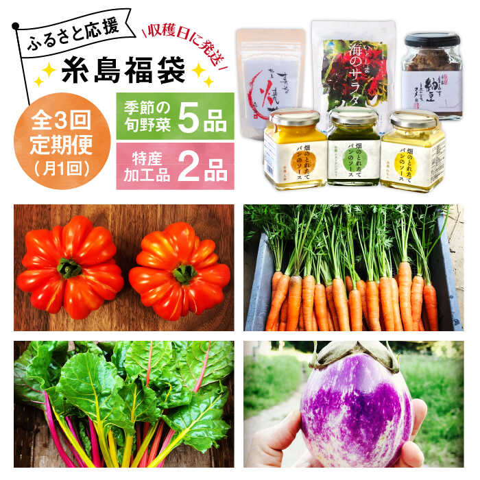 【ふるさと納税】【 全3回 定期便 】朝採り オーガニック 旬 野菜 お任せ 5品 ＋ 糸島産 大ヒット 特産 加工品 2品 のセット《糸島》【オーガニックナガミツファーム】[AGE029] 45000円 4万5千円