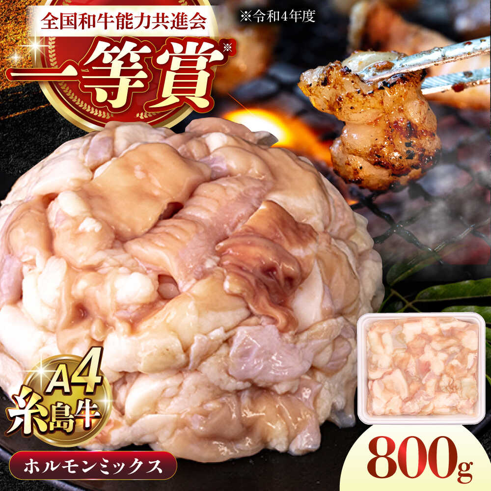 【ふるさと納税】A4ランク 和牛 ホルモンミックス 800g もつ鍋 ホルモン焼き 糸島牛 糸島市 / 一番田舎[AGN008] 黒毛和牛 冷凍配送 15000円 1万5千円｜福岡県糸島市