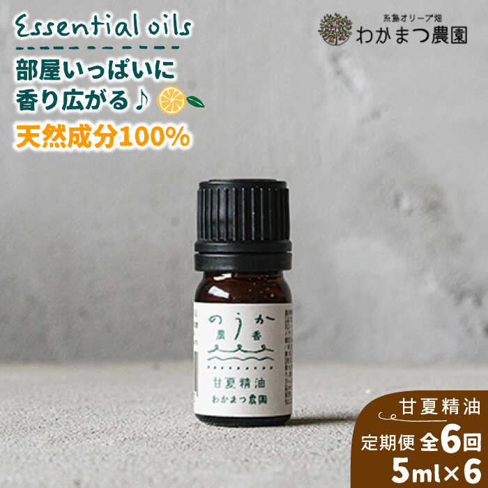 糸島の強炭酸水＆茶の葉特集
