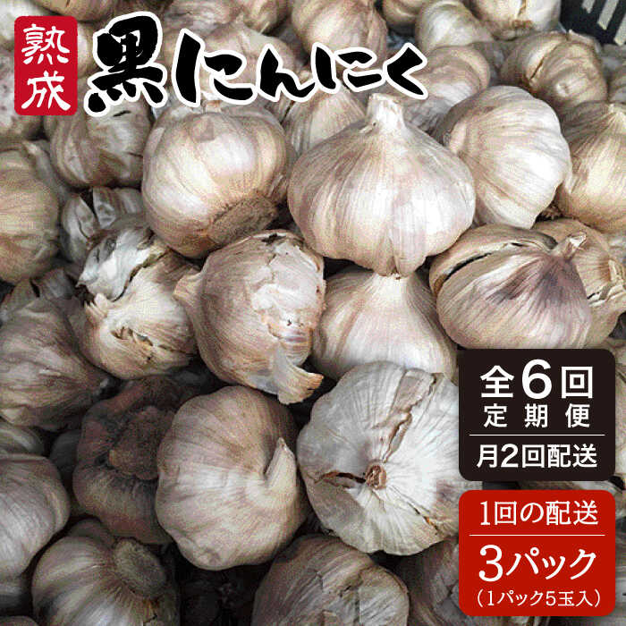 【ふるさと納税】全6回定期便 熟成黒にんにく15玉(1パック5玉×3パック)×6回配送(月2回×3か月間) シーブ [AHC002] 常温 100000円 10万円