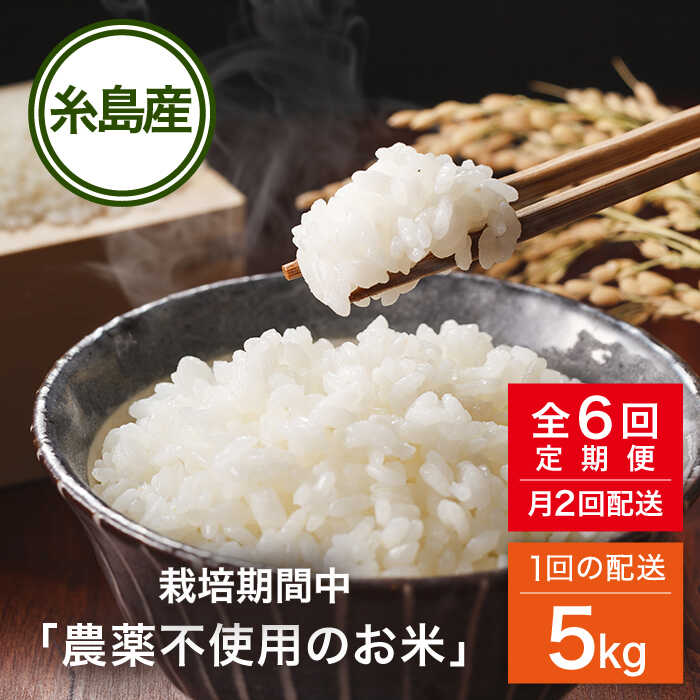 新米・令和5年産玄米新潟新之助 30kg（10kg×3）精米無料☆農家直送15