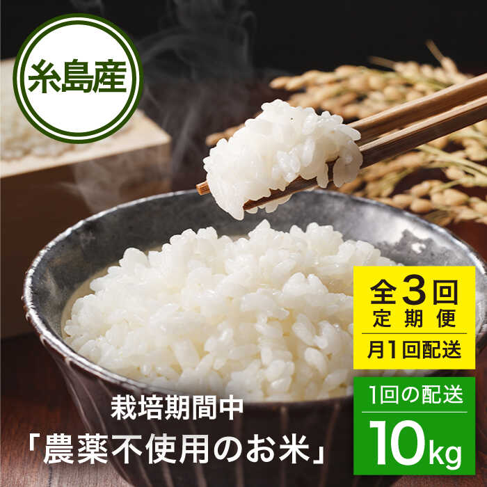 【ふるさと納税】【全3回(月1回)定期便】 栽培期間中 農薬不使用のお米 10kg 糸島市 / シーブ [AHC044] 米 定期便10万円170000円｜福岡県糸島市
