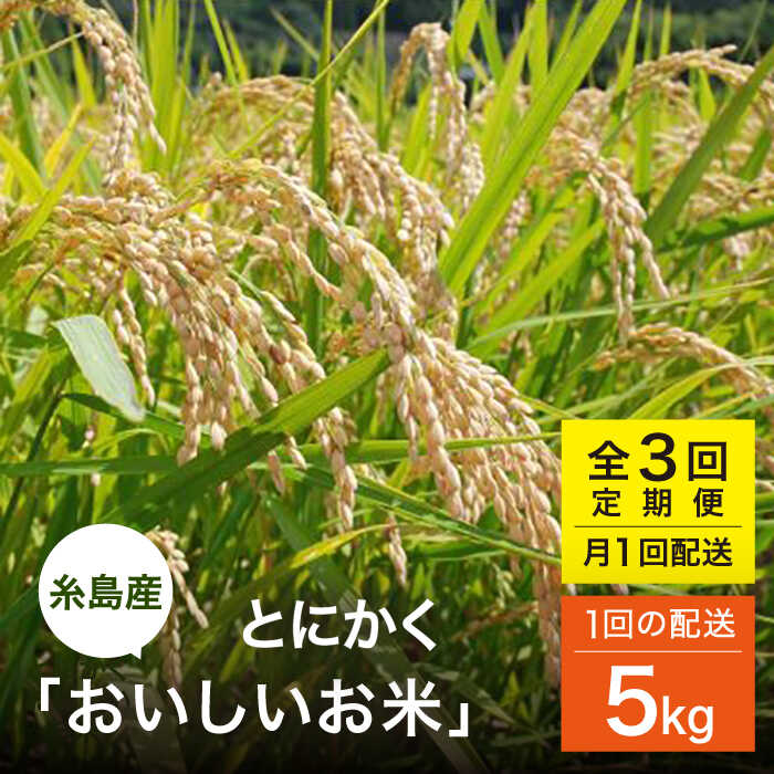 【ふるさと納税】【全3回(月1)定期便】 とにかくおいしいお米 ひのひかり または にこまる 5kg 糸島市 / シーブ [AHC047] 米 定期便8万2千円82000円｜福岡県糸島市