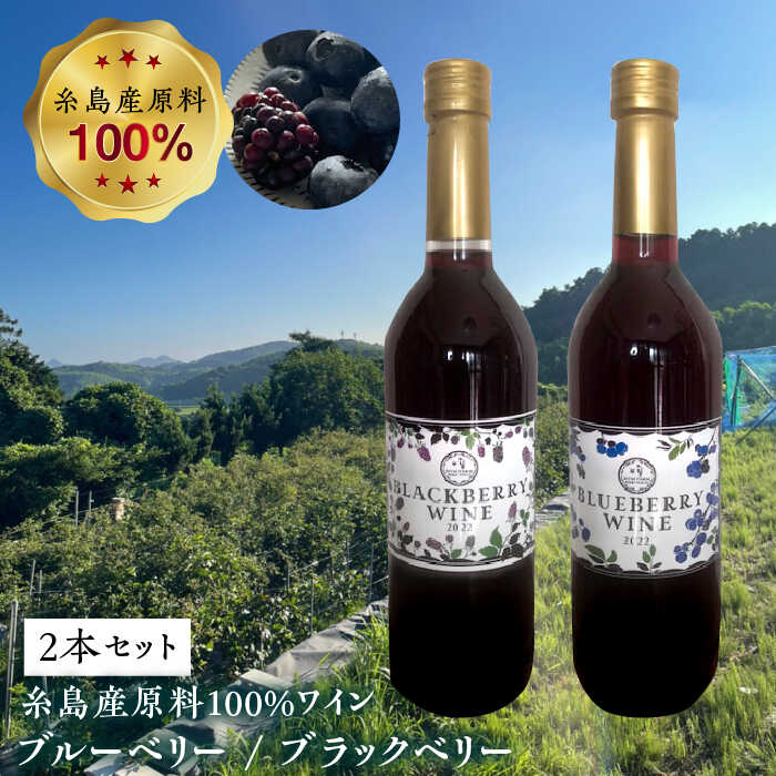 【ふるさと納税】糸島産 ブルーベリー ＆ ブラックベリー ワイン 720ml&times;2種 セット 糸島市 / HYM FARM [AHM001] 母の日 父の日 ギフト1万8千円18000円｜福岡県糸島市