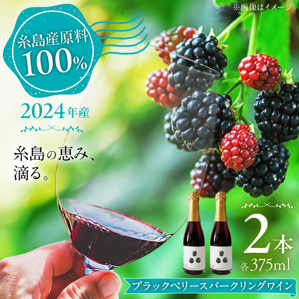【ふるさと納税】2024年産 糸島産ブラックベリースパークリングワイン 375ml 2本セット / 糸島市 / HYM FARM / お酒 赤ワイン[AHM003] ワイン ベリー 冷蔵 16000円 1万6千円