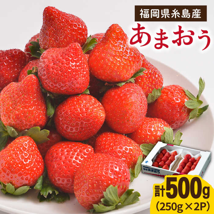 【ふるさと納税】【先行予約】糸島産【冬】 あまおう 2パック  【2025年12月上旬以降順次発送】《糸島》【南国フルーツ株式会社】 [AIK007] 12000円