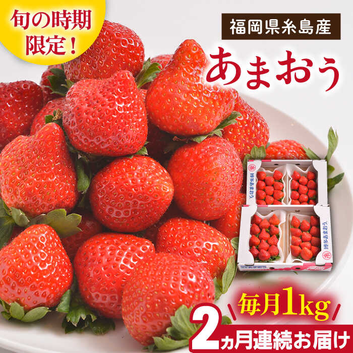 【ふるさと納税】【先行予約】【全2回定期便】糸島産【冬】あまおう 4パック 毎月1kg 【2025年12月上旬以降順次発送】糸島市 / 南国フルーツ株式会社  [AIK024] 41000円