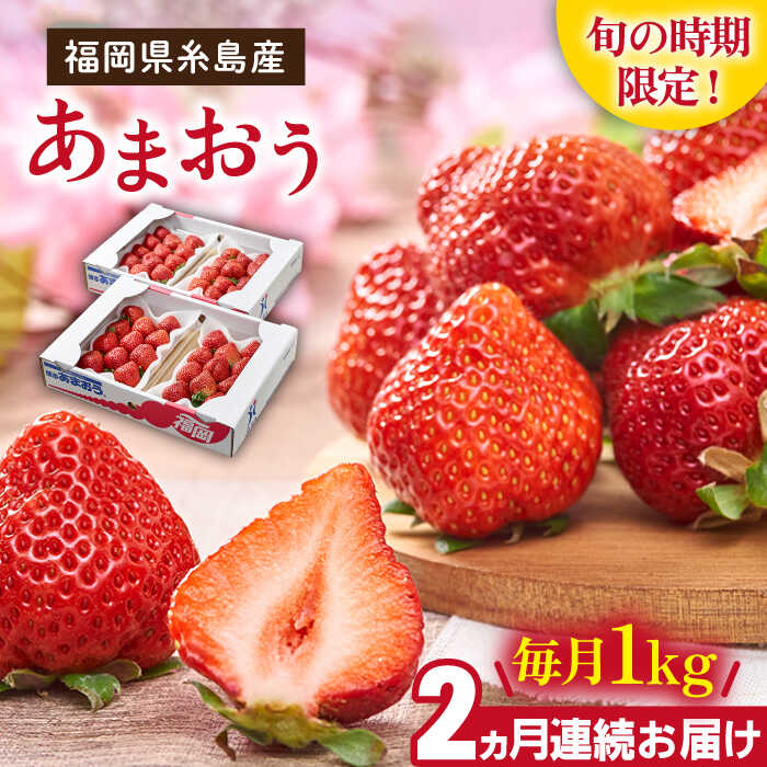 【ふるさと納税】【先行予約】【全2回定期便】糸島産【春】あまおう 4パック 毎月1kg 【2026年2月より順次発送】糸島市 / 南国フルーツ株式会社  [AIK026] 24000円 先行予約