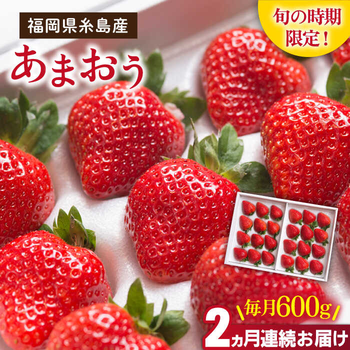【ふるさと納税】【先行予約】【全2回定期便】糸島産 あまおう ギフト 箱 毎月 600g (24-30粒) 【2026年1月より順次発送】糸島市 / 南国フルーツ株式会社 [AIK028] 32000円 先行予約