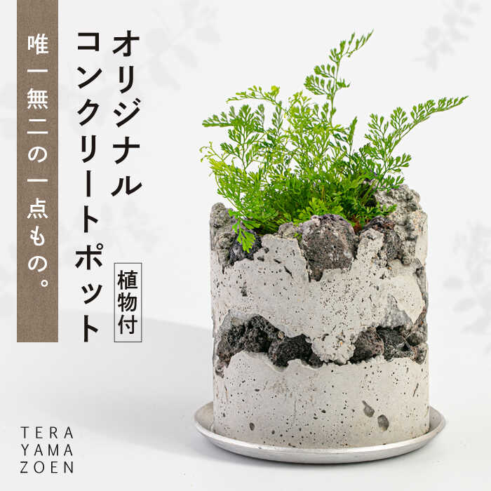 お世話になった方へ贈る お中元特集