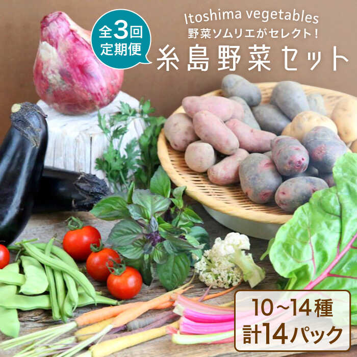 【ふるさと納税】【全3回定期便】旬を味わう『糸島野菜セット』 イタリア野菜 オーガニック 3回お届けコース 10～14種（計14パック） 糸島市 / 野菜ソムリエ松永 vegeLabo [AJB004] 60000円 6万円