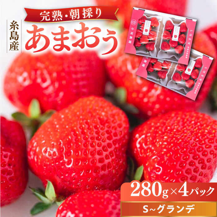 いちご 専用 ajn004.jpg