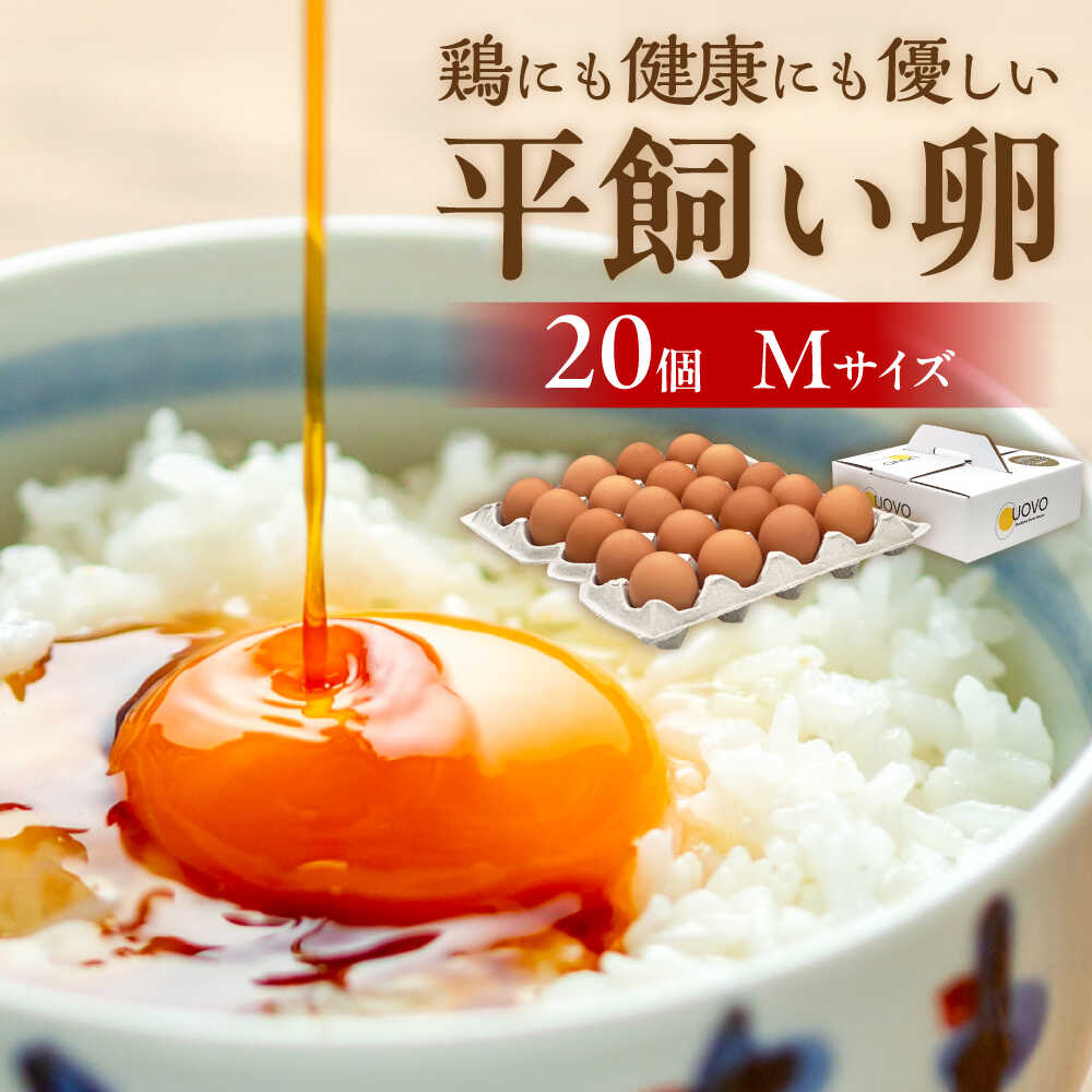 【ふるさと納税】平飼い卵「天上卵」20個セット 糸島市 / 糸島ファームハウスUOVO [AKH001]  鶏卵 卵 平飼い 平飼い卵 たまご 玉子 1万円 11000円 常温