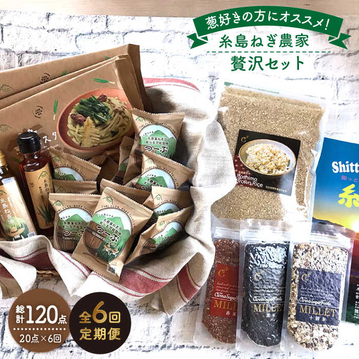 【ふるさと納税】【全6回定期便】糸島ねぎ農家贅沢セット 糸島市 / 株式会社Carna [ALA039] 常温 200000円 20万円｜福岡県糸島市