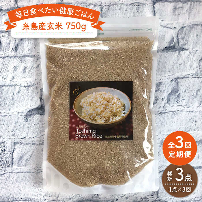 【ふるさと納税】【全3回定期便】糸島産玄米 750g 糸島市 / 株式会社Carna [ALA044] 12000円 常温