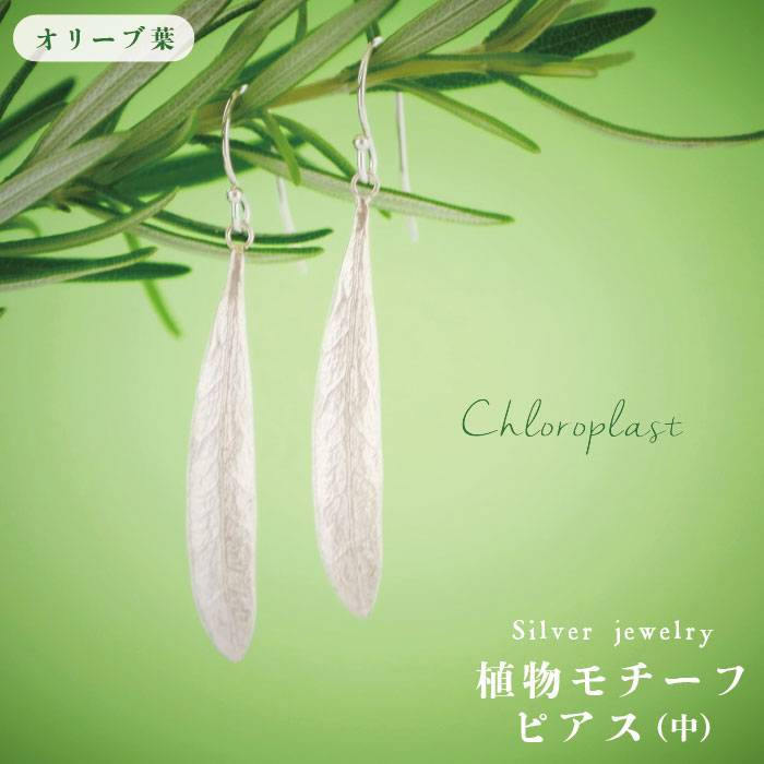 【ふるさと納税】植物モチーフ オリーブ葉ピアス(中) /Chloroplast/クロロプラスト/ジュエリー[ALF004]≪糸島市≫ 49000円 4万9千円