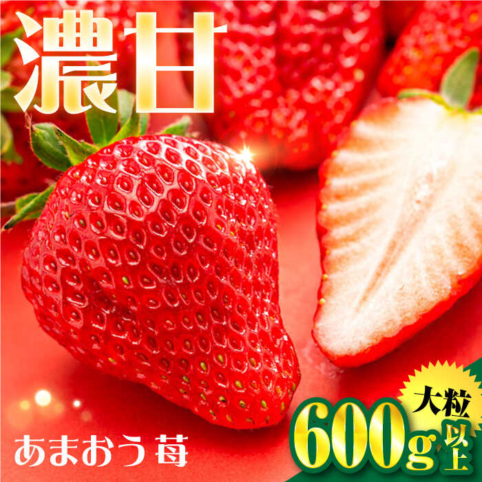 【ふるさと納税】【先行予約】【化粧箱】あまおう いちご 600g以上 【2026年1月以降順次発送】 糸島市 / 株式会社フルコンス[ALO001] フルーツ 果物 ギフト 13000円