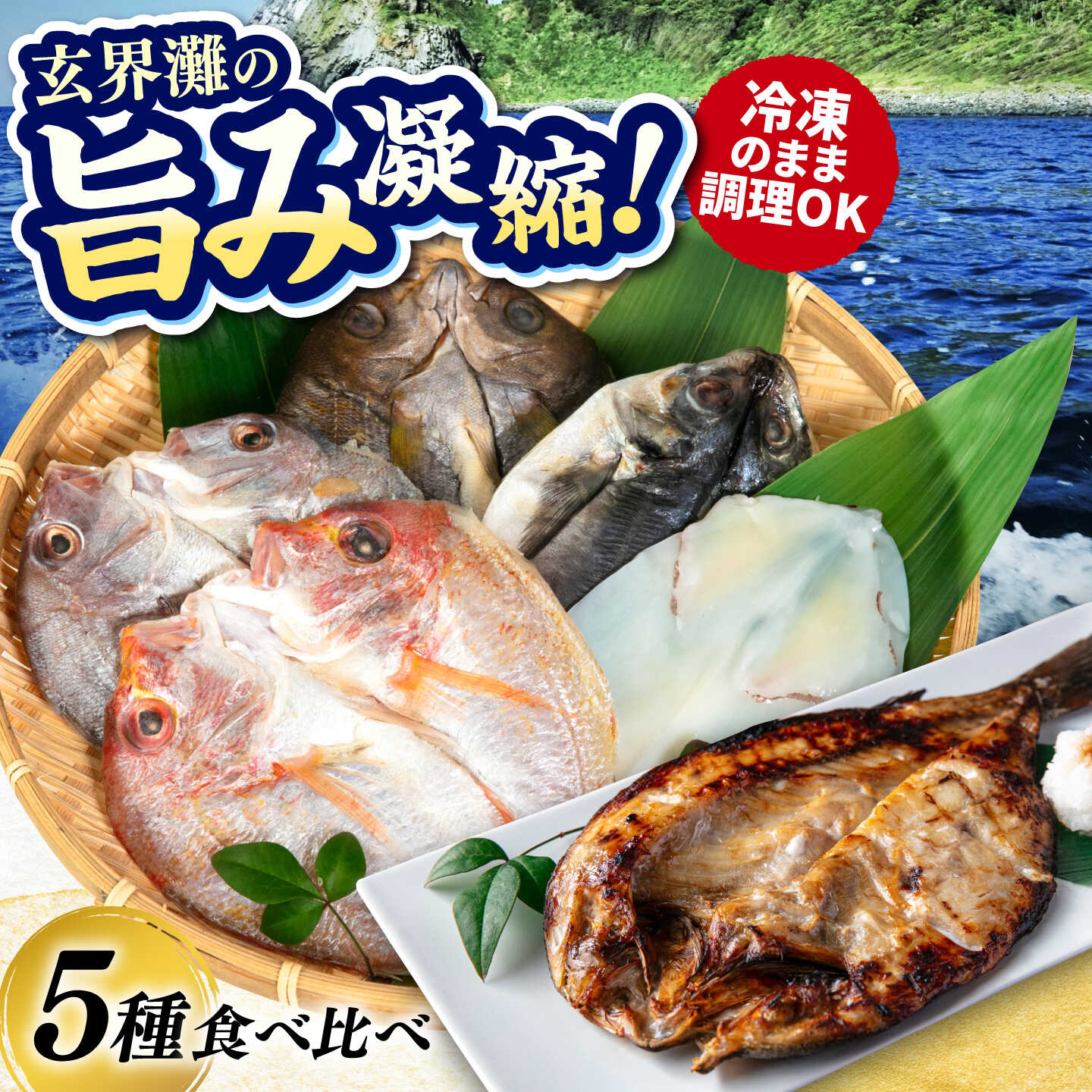 【ふるさと納税】【お中元対象】活き活き鮮魚開きセット（真鯛・連子鯛・アジ・いさき・やりいか 計 5枚）糸島市 / 有限会社 糸島海産 / 開き / セット[AMR001] 鮮魚開き 魚 12000円 1万2千円｜福岡県糸島市