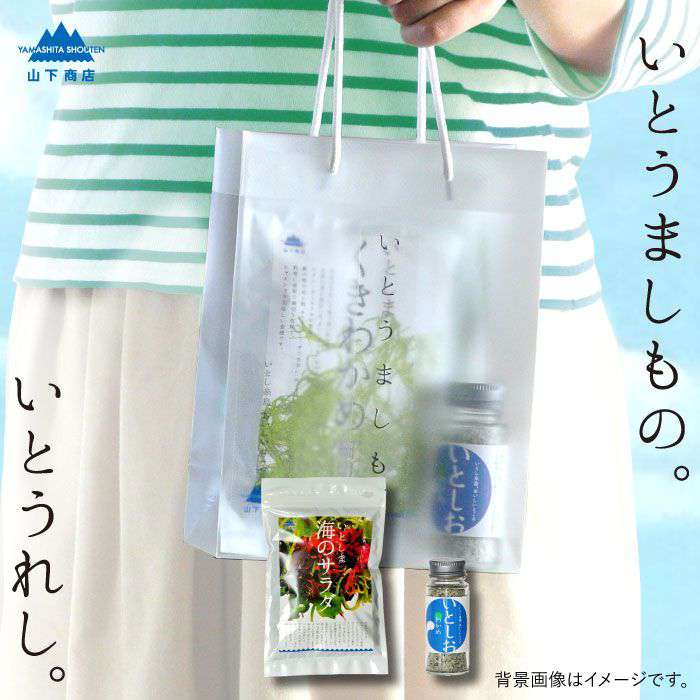 【ふるさと納税】糸島の乾物 海藻 いとうましもの（手さげ袋Ｄ）【山下商店】 いとしまごころ [ANA019] 常温 6000円 6千円