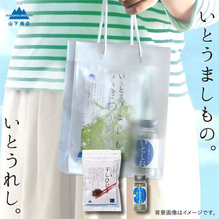 【ふるさと納税】糸島の乾物 海藻 いとうましもの（手さげ袋Ｂ）【山下商店】 いとしまごころ [ANA020] 6000円 6千円 常温
