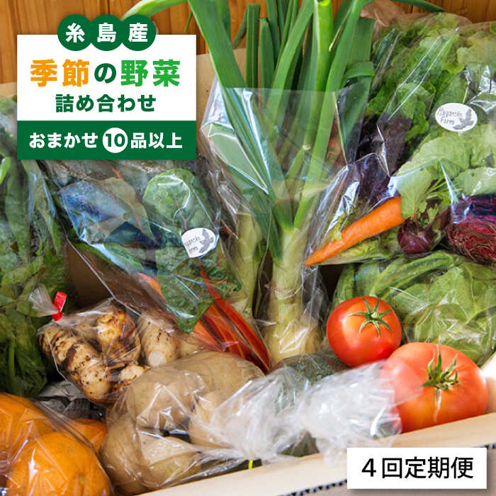 生まれのブランドで 毎シーズンお届け 季節の野菜詰め合わせ おまかせ10品以上 《糸島市》 ANJ002 fucoa.cl