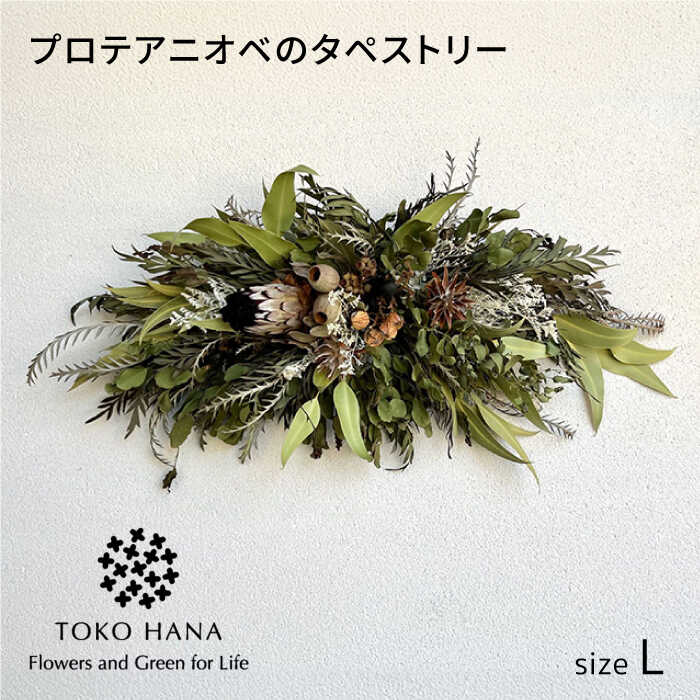 【ふるさと納税】プロテアニオベのタペストリー（Lサイズ）　糸島市 / tokohana ドライフラワー アレンジ[AOC029] 40000円 4万円
