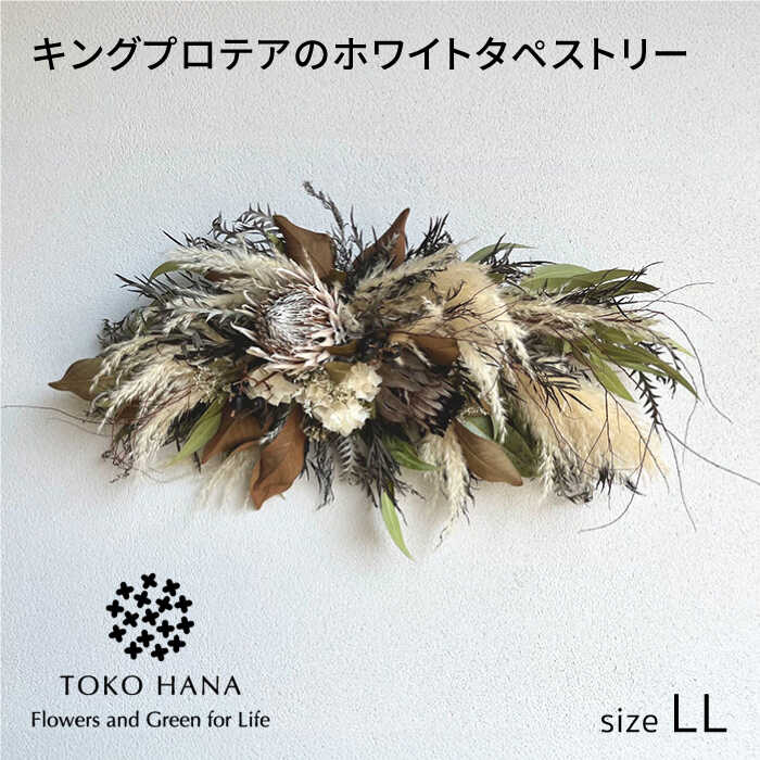 【ふるさと納税】キングプロテアのホワイトタペストリー（LLサイズ） 糸島市 / tokohana ドライフラワー アレンジ[AOC043] 76000円 7万6千円｜福岡県糸島市