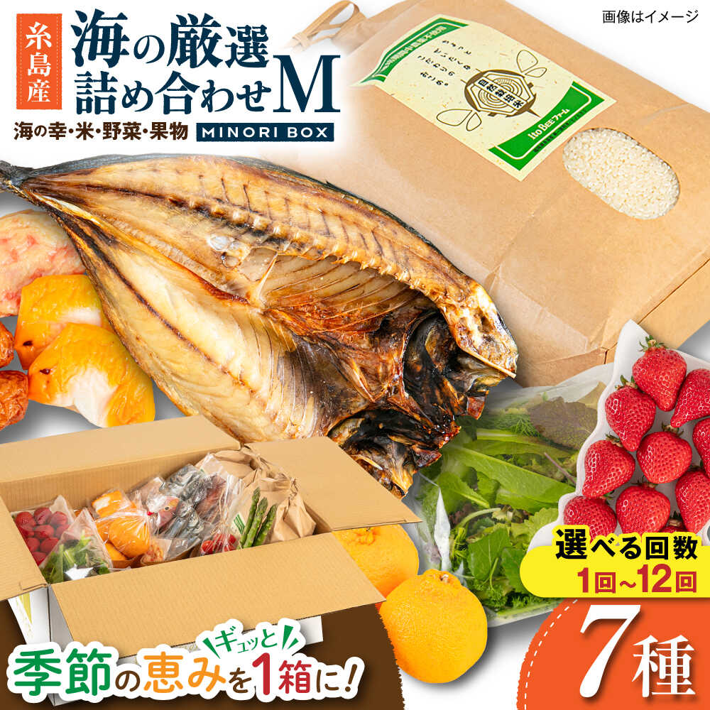 【ふるさと納税】 糸島産 魚 米 野菜 果物 厳選詰め合わせ MINORI BOX Mサイズ 糸島市 / emma.Inc / 米 魚 野菜 果物 詰め合わせ[AOP005] お届け回数選べる セット 旬 22,200円