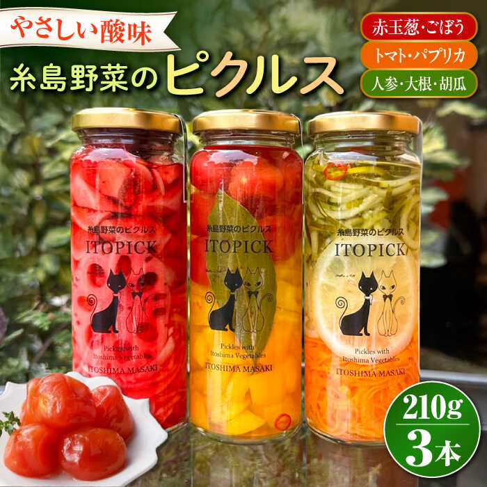 【ふるさと納税】【ITOPICK】糸島野菜のピクルス3本セット 糸島市 / 糸島正キ[AQA098] 15000円 1万5千円