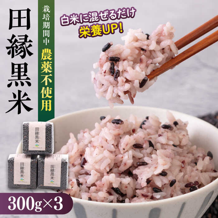 【ふるさと納税】田縁黒米（でんえんくろまい）300g&times;3パック 糸島市 / NPO法人田縁プロジェクト[ATM003] 古代米 黒米 常温 14000円 1万4千円｜福岡県糸島市
