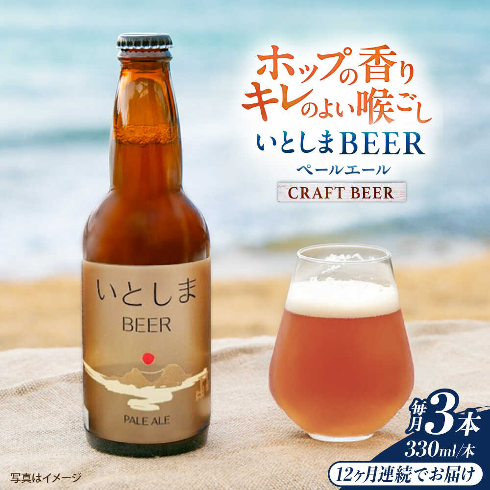 【ふるさと納税】【全12回定期便】 いとしまBEER (ペールエール) 330ml&times;3本 糸島市 / 蔵屋 クラフトビール[AUA049] クラフトビール ビール 常温 100000円 10万円｜福岡県糸島市