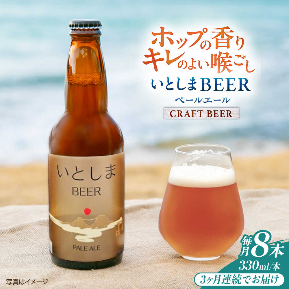 【ふるさと納税】【全3回定期便】いとしまBEER (ペールエール) 330ml×8本 糸島市 / 蔵屋 クラフトビール[AUA053] クラフトビール ビール 常温 57000円 5万7千円