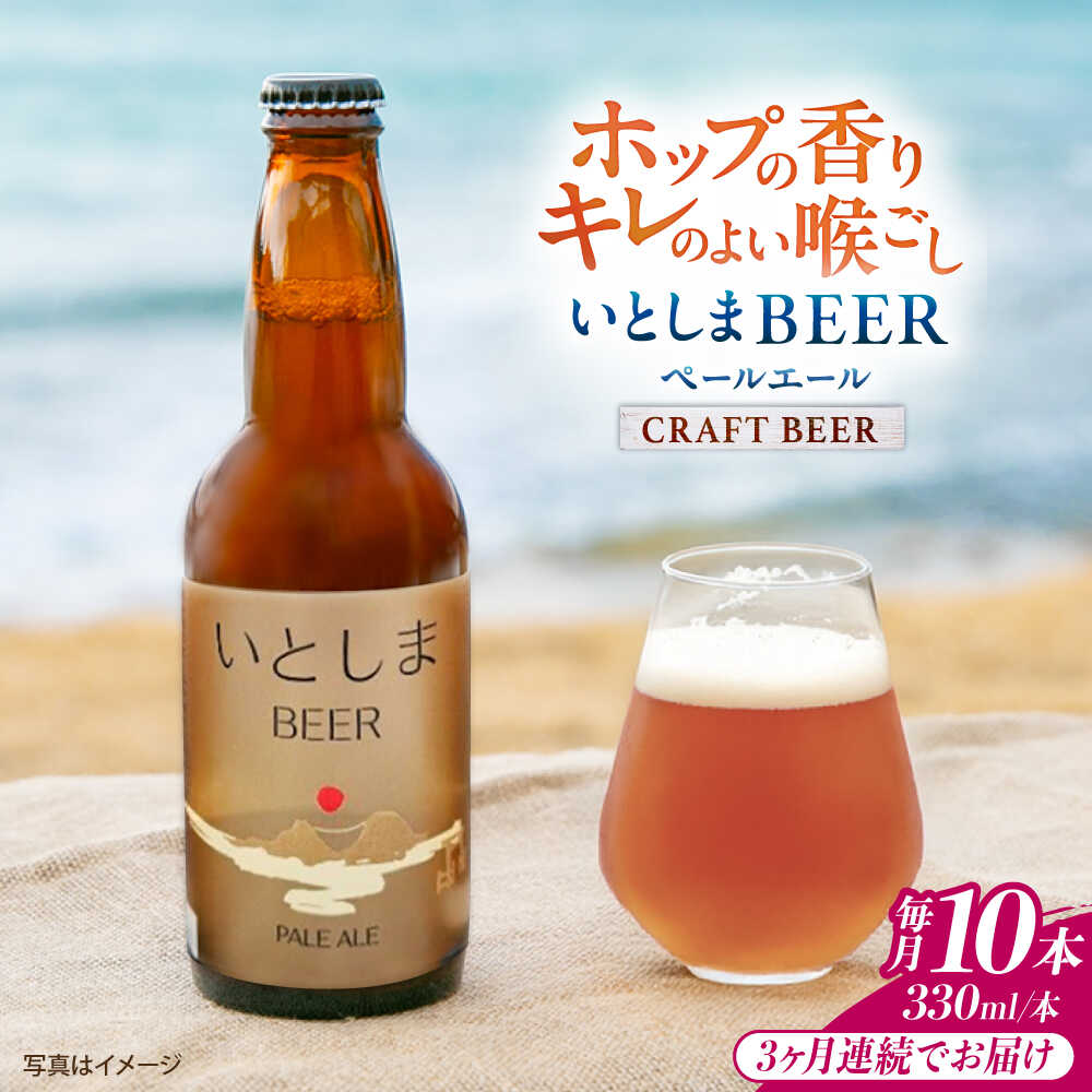 【ふるさと納税】【全3回定期便】いとしまBEER (ペールエール) 330ml&times;10本 糸島市 / 蔵屋 クラフトビール[AUA056] クラフトビール ビール 常温 7万7千円77000円｜福岡県糸島市