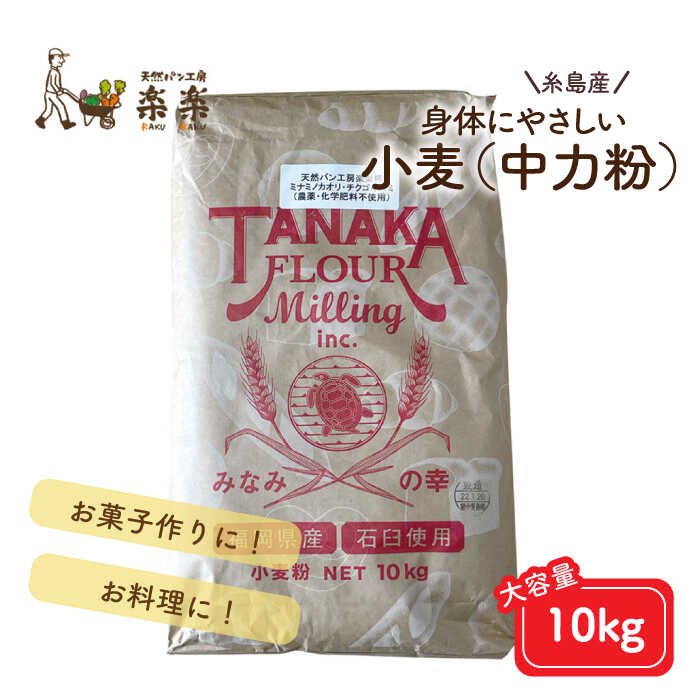 市場 ふるさと納税 中力粉 業務用 10kg《糸島》 伊都のかおり