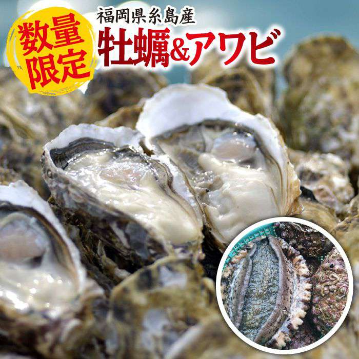 楽天市場】【ふるさと納税】殻付き生牡蠣 3kg/牡蠣ナイフ付き (40粒