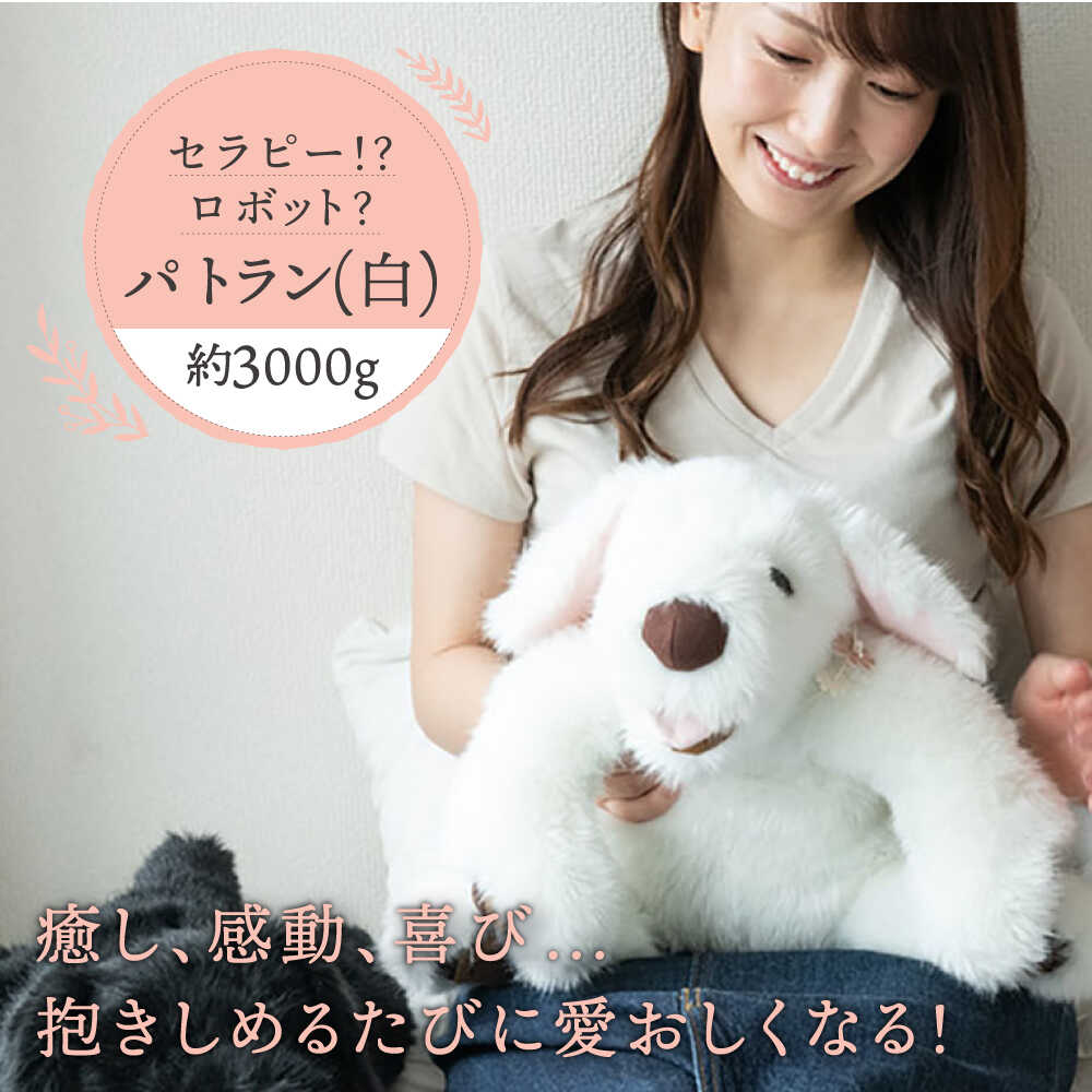 お世話になった方へ贈る お中元特集