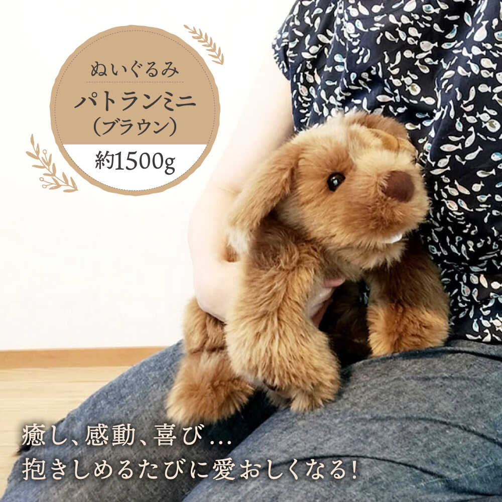 お世話になった方へ贈る お中元特集